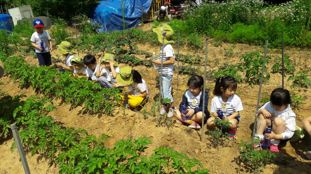 시립구름산어린이집 이미지