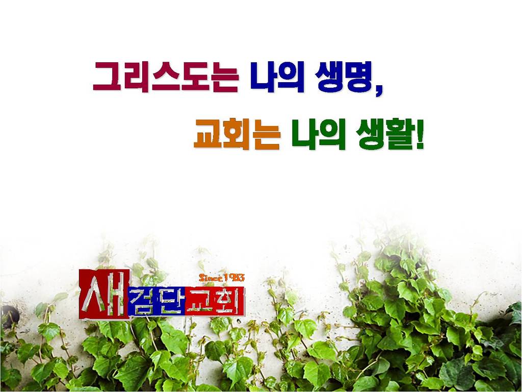 9와1집 이미지