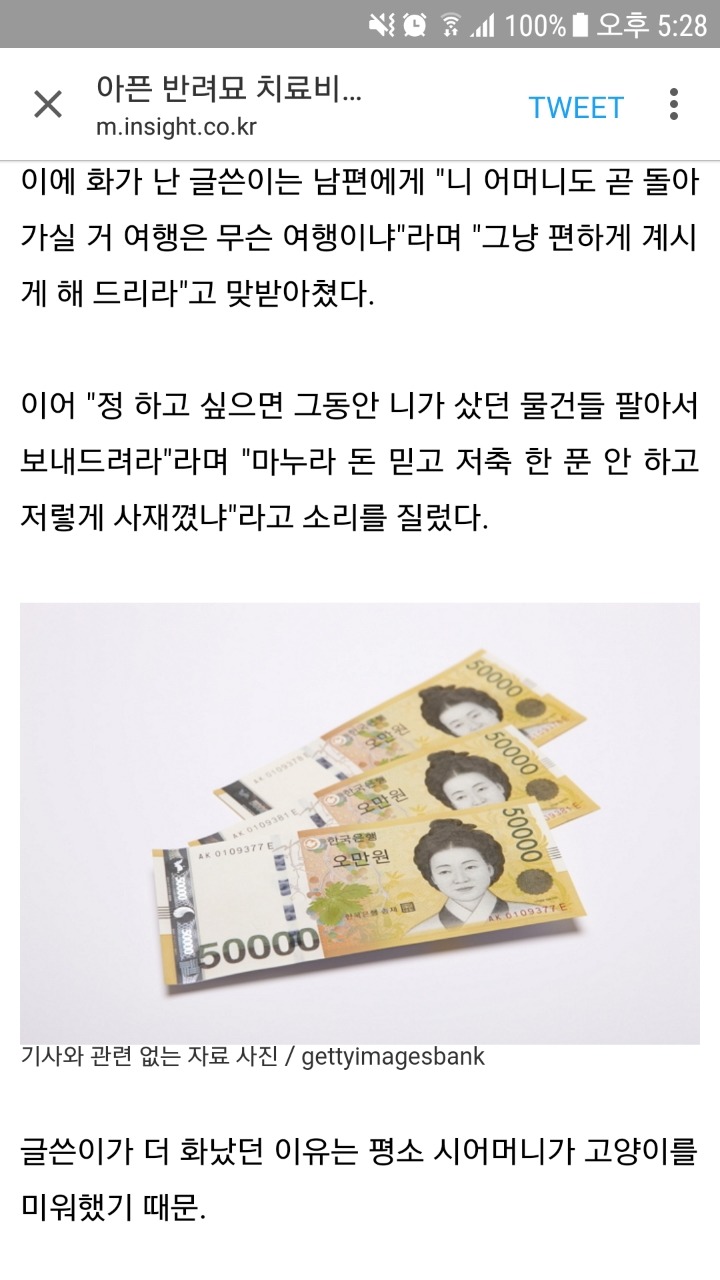 아픈 반려묘 치료비를 자기엄마 여행비로 주자는 남편.jpg | 인스티즈