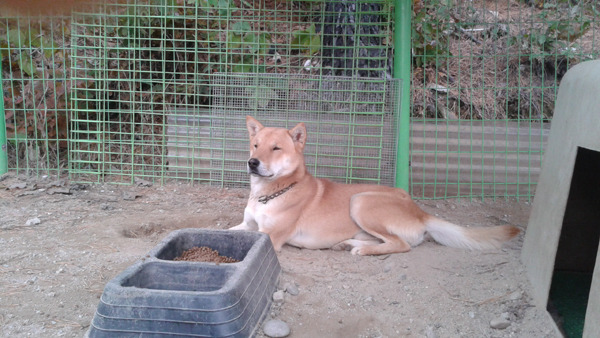 산보 이미지