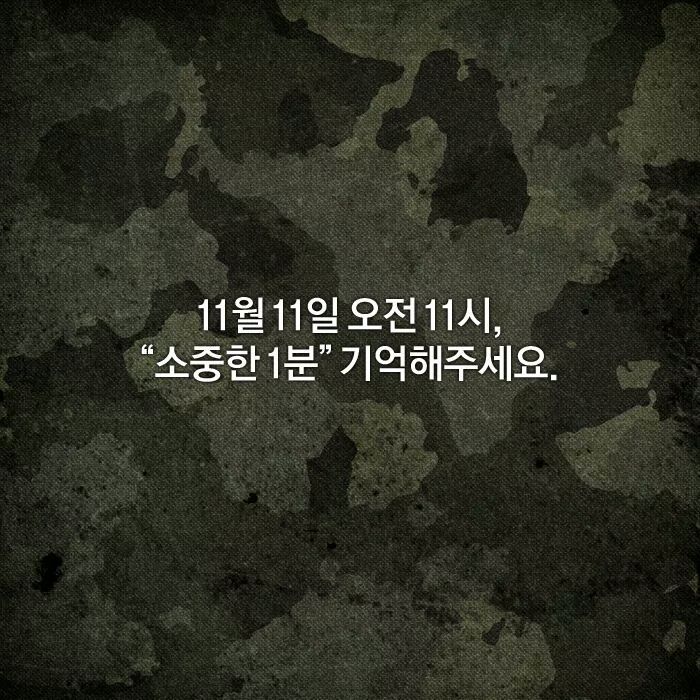 11월 11일 오전 11시 | 인스티즈