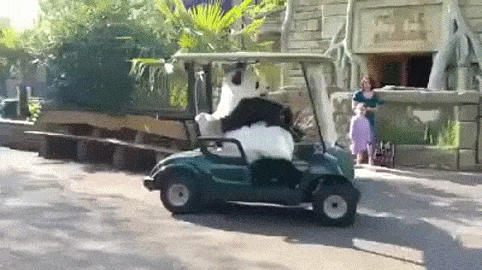 잘있어라 인간들아.gif | 인스티즈
