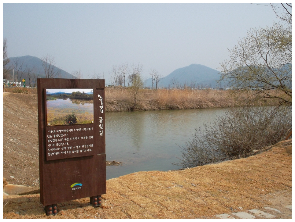 춘초몽 이미지