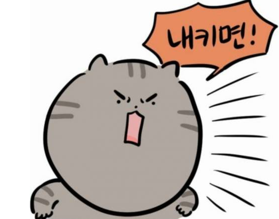 고양이와 강아지 | 인스티즈