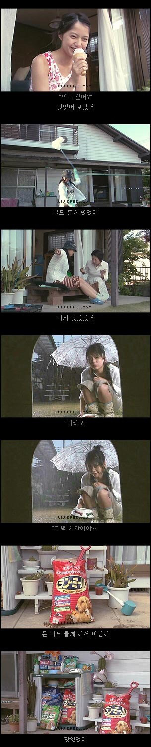 [눈물주의슬픔주의] 강아지의 일생 | 인스티즈