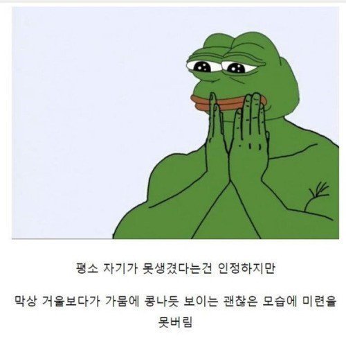 얼굴 어중간하게 못생긴 사람 특징.jpg | 인스티즈