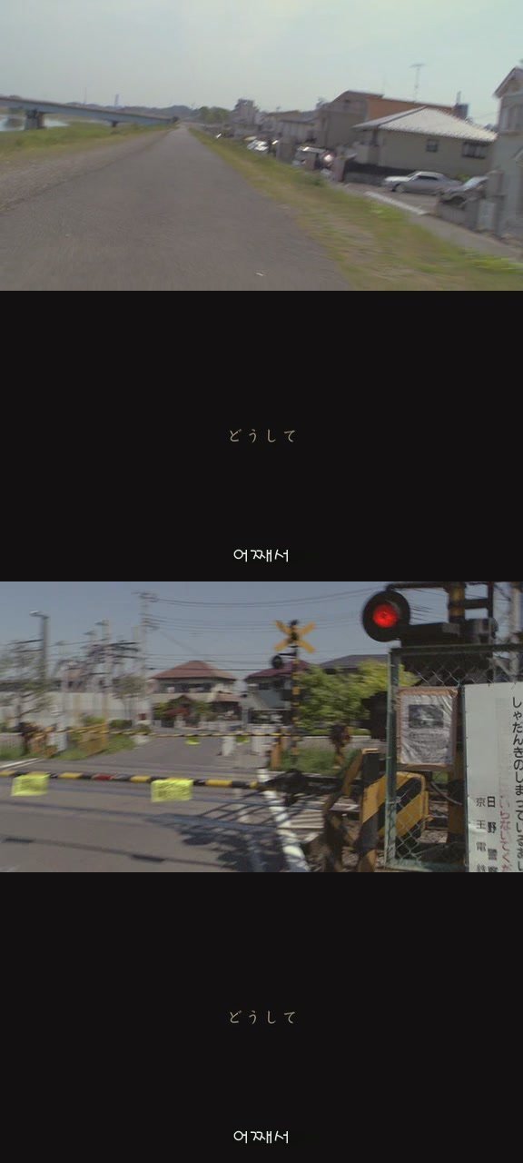 강아지의 삶 | 인스티즈