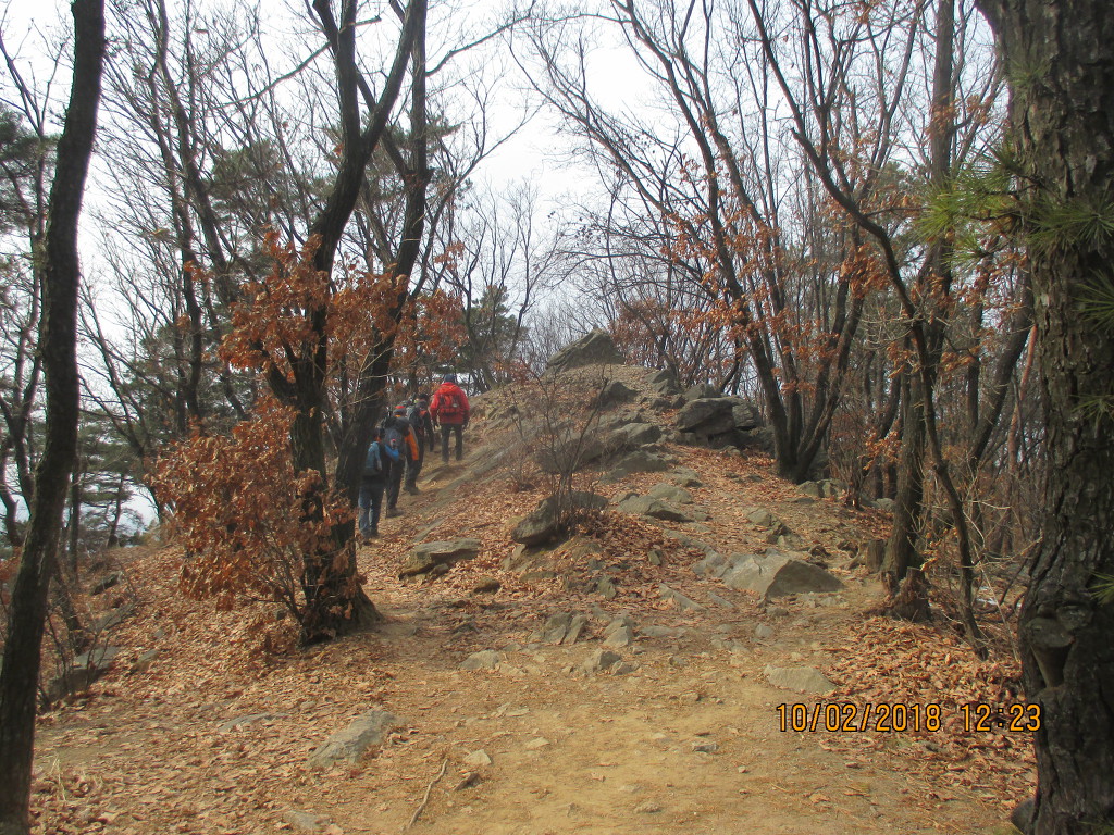 구룡산 정상 이미지