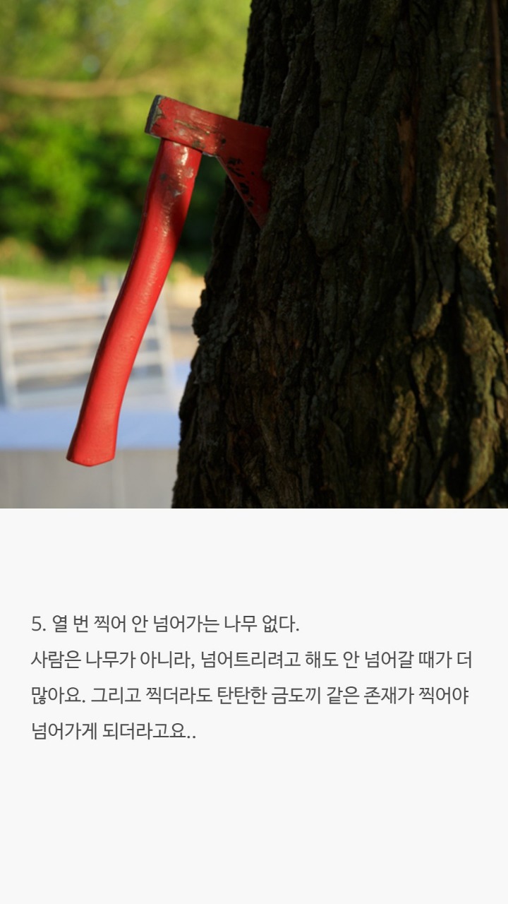 때론 공감하기힘든 유명한말들 | 인스티즈
