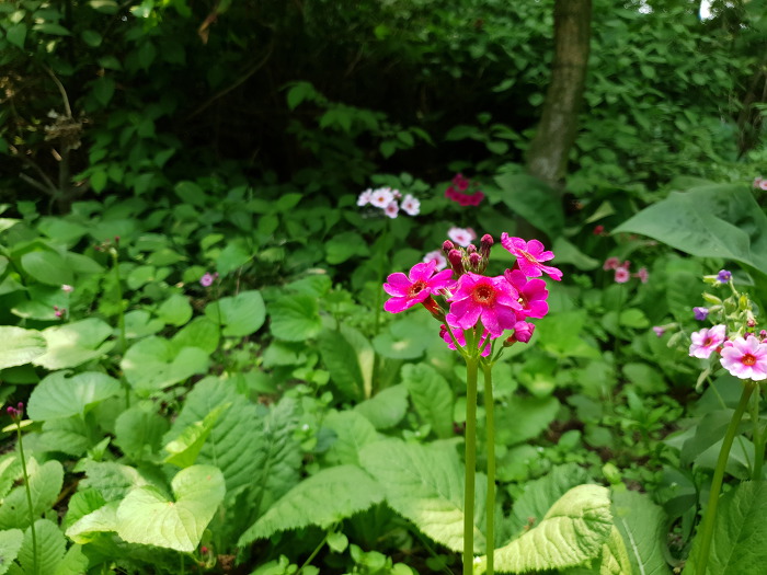 990F4F465CD8B8BC0782E3