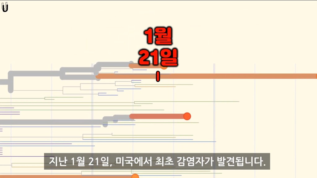 한국의 코로나19 감염원 노출은 언제부터였을까? (입국금지 골든타임 미리 알 수 있었을까?) - 과학적 분석 | 인스티즈