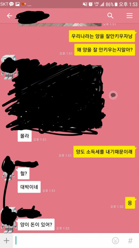 우리나라가 양을 잘 안키우는 이유 | 인스티즈