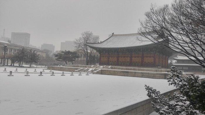 오늘 각자 설경 자랑 중인 문화재청 소속 트위터 계정들.twt | 인스티즈