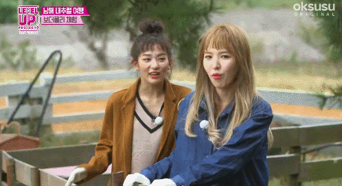 개한테 산책당하고 양한테 시비털리는 레드벨벳 슬기.gif | 인스티즈
