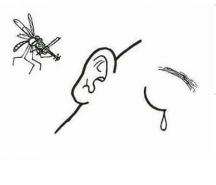 곧 있으면 밤마다 벌어질 일 | 인스티즈