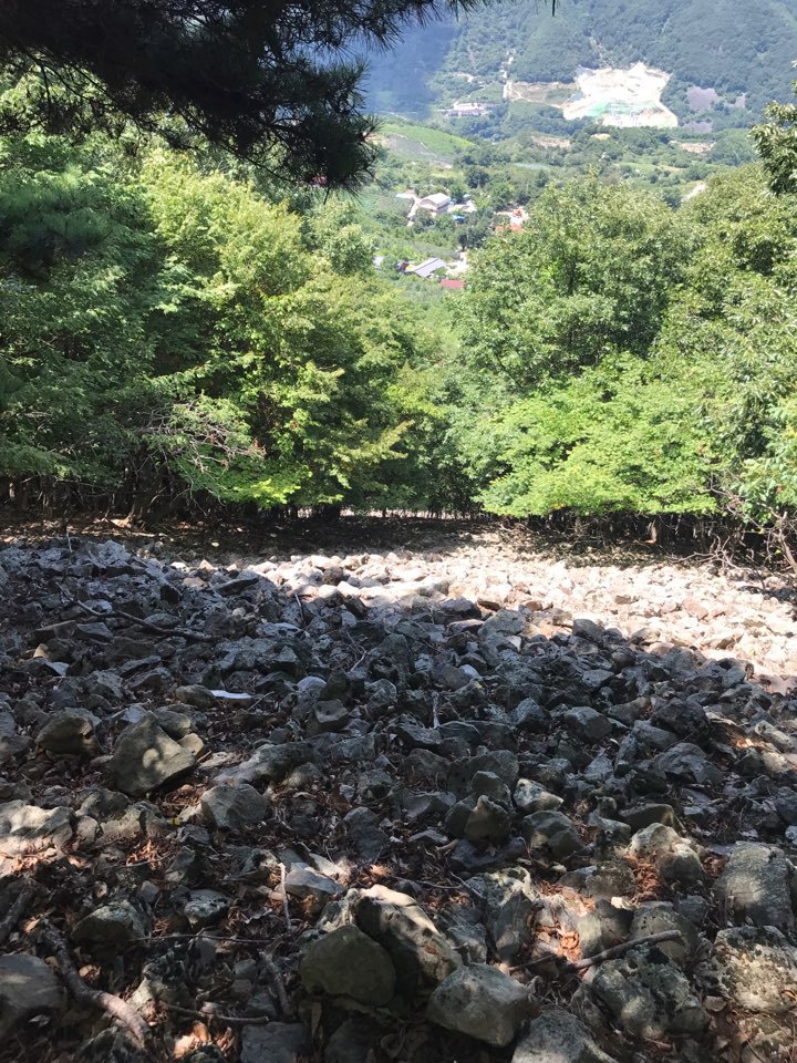 향백 이미지