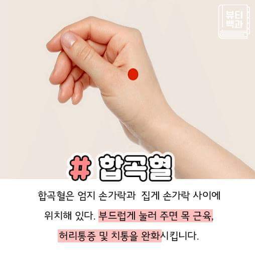 신기한 지압점 6가지 | 인스티즈