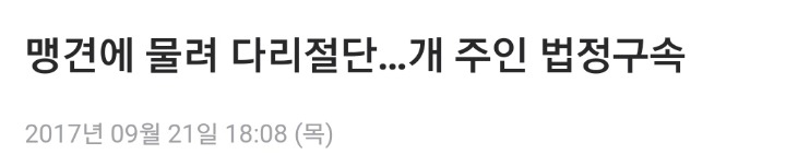 반려견에게 목줄 및 입마개 안하는 견주들 신고하자!! | 인스티즈