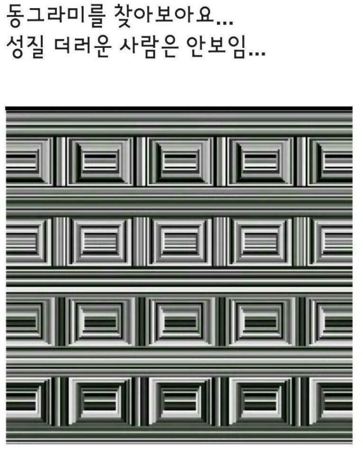 성질급한 사람들에게는 안보이는 동그라미 | 인스티즈