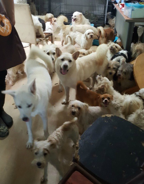 엔젤모텔 이미지