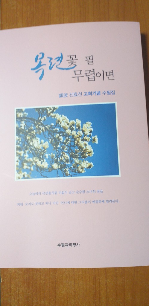 선*효 이미지