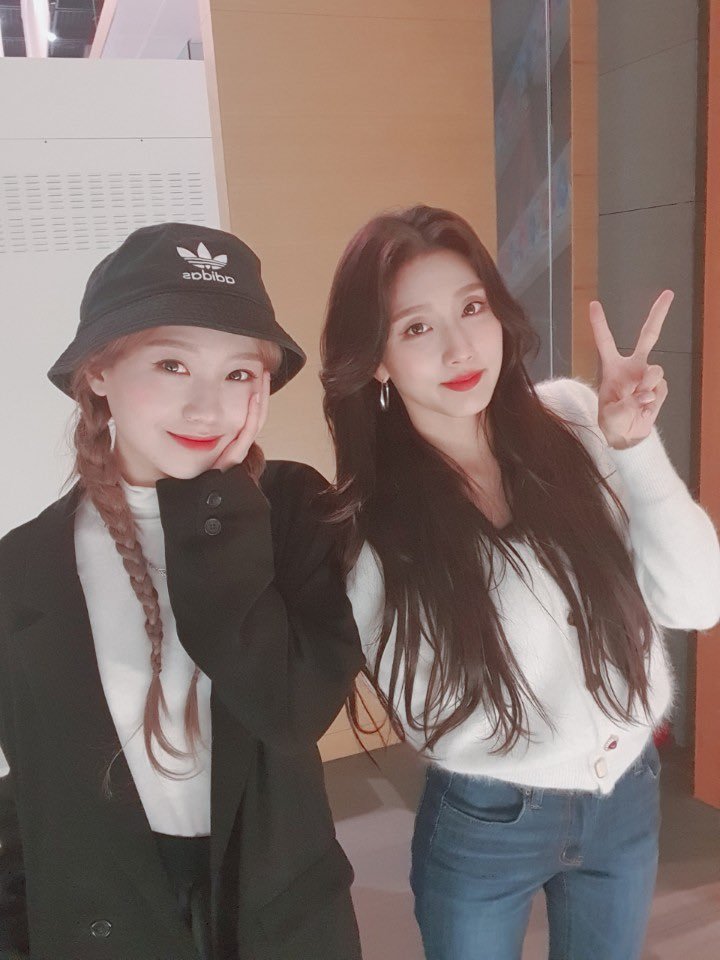 예인 이미지