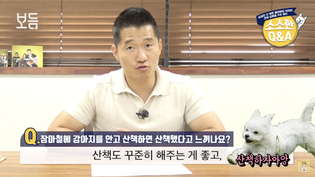 장마철에 강아지를 안고 산책하면 산책했다고 느끼나요?.jpg | 인스티즈