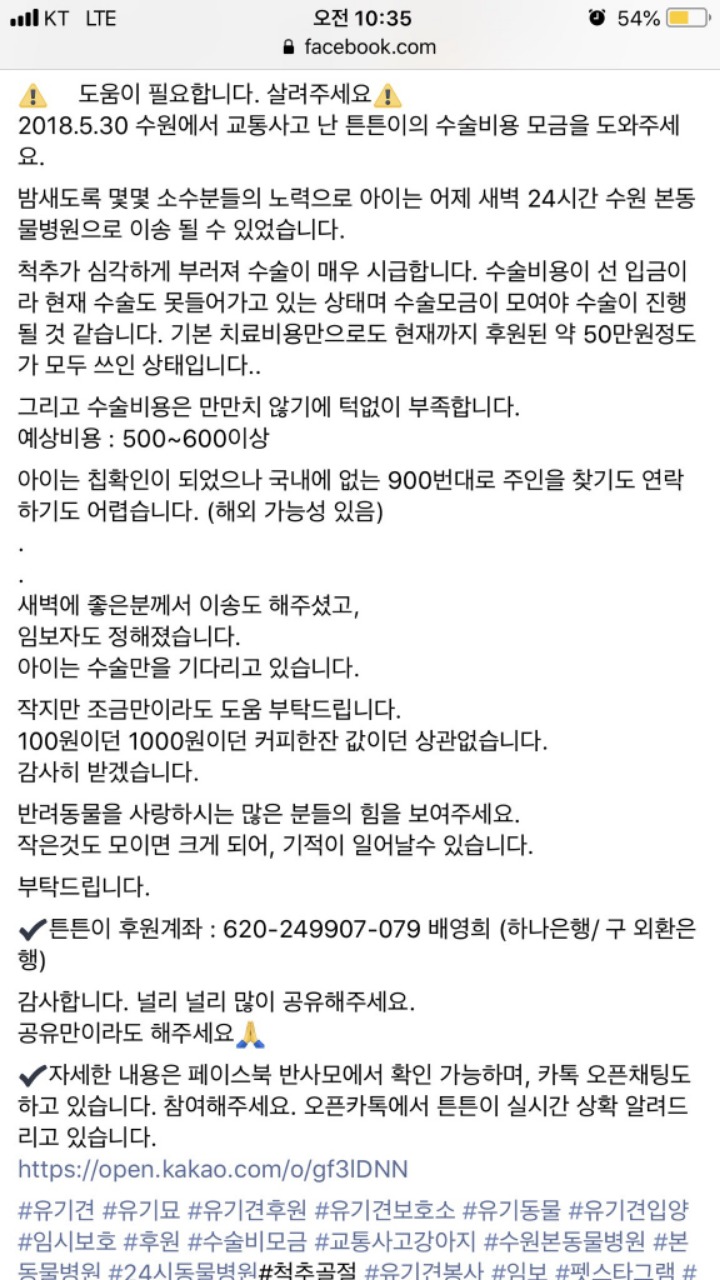 뺑소니 당한 강아지의 수술비를 모금중입니다ㅠㅠㅠ | 인스티즈