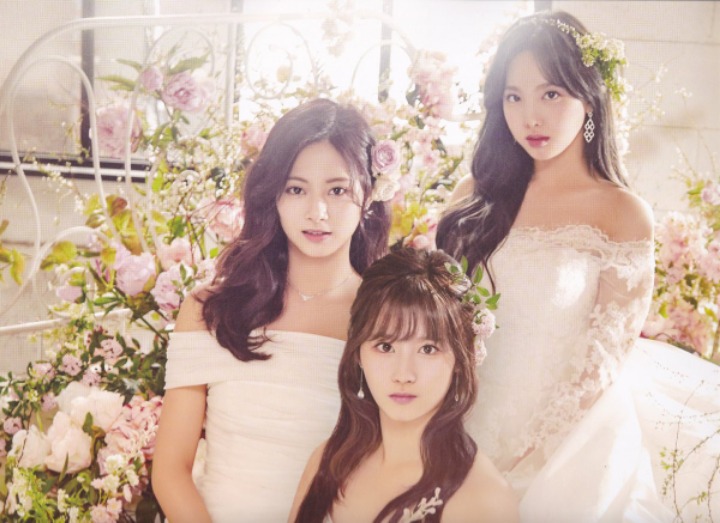 트와이스 9명 웨딩 드레스 (데이터 주의) | 인스티즈