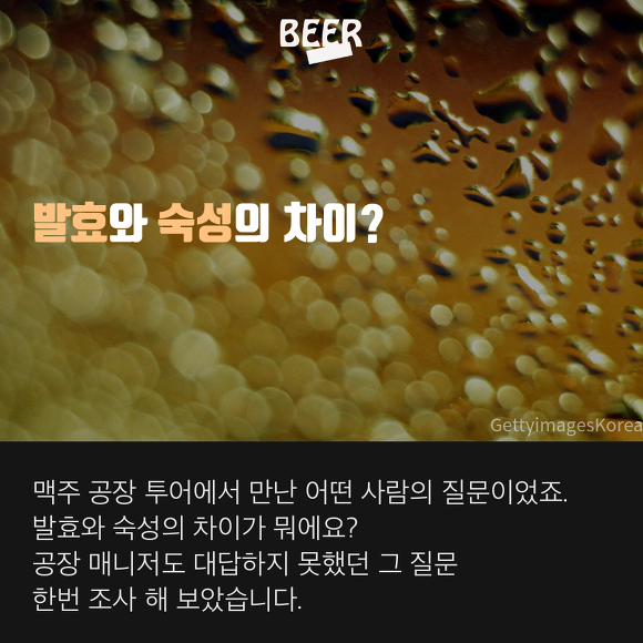 발효와 숙성의 차이? - 맥주 이야기 | 인스티즈