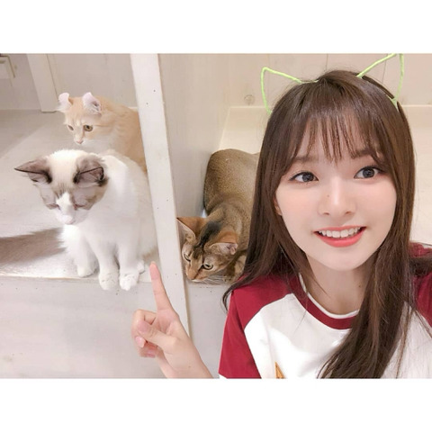 약속회 공연끝나구 만남대기중에 프로미스 나인 이나경 | 인스티즈