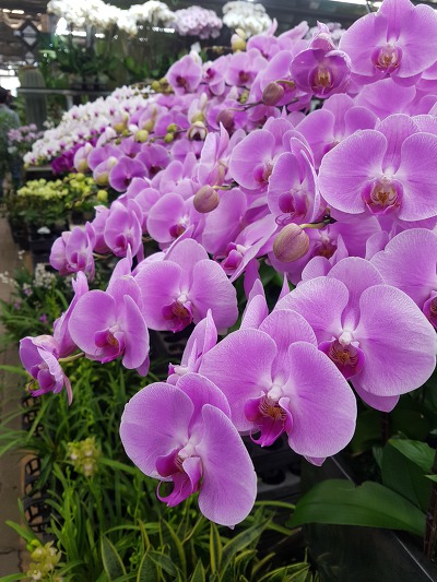 99331C4B5C8845A1277E31