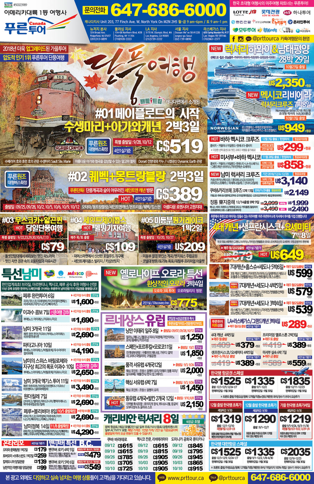푸른아메리카투어 이미지