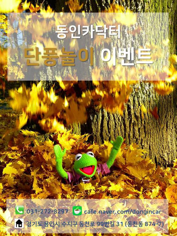 카닥터 이미지
