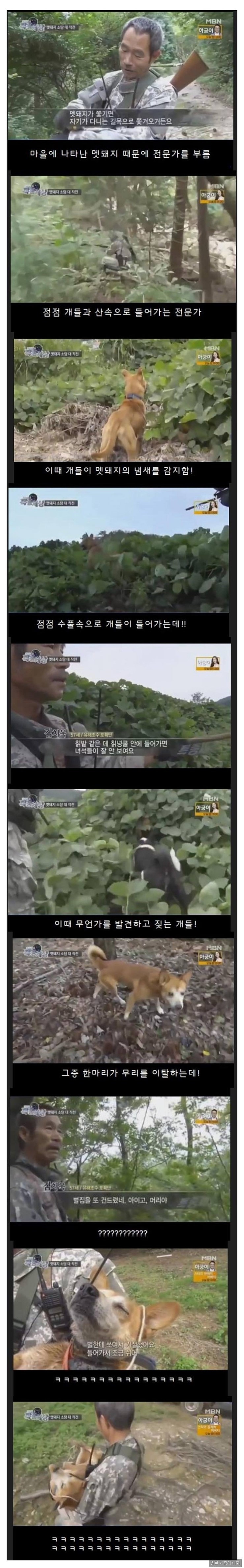 사냥개의 위엄.jpg | 인스티즈