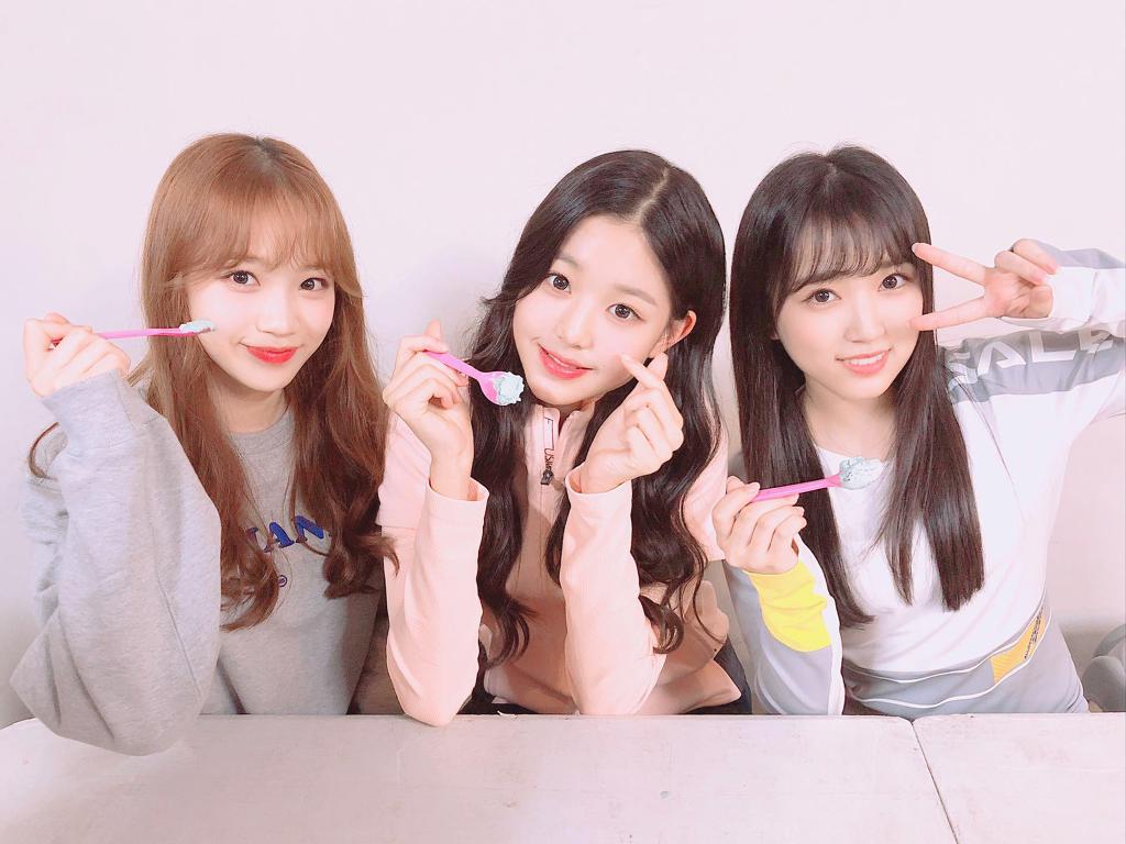 반박불가 아이스크림 최고 존엄 민트초코 | 인스티즈