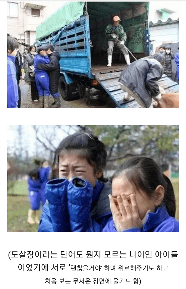 일본의 흔한 초등학교 | 인스티즈
