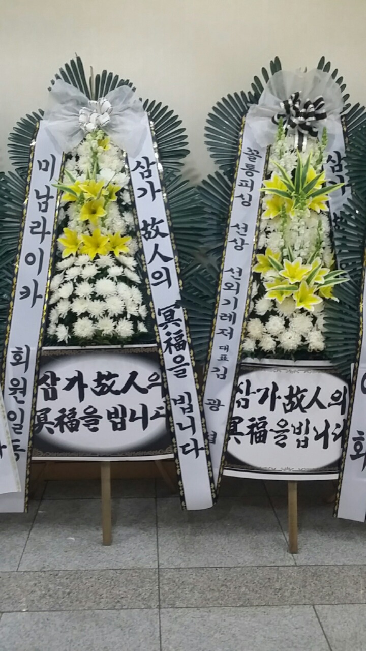 더하정 이미지