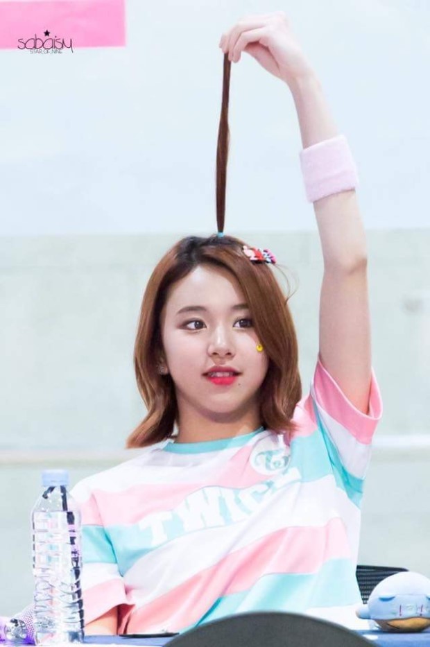 트와이스 채영 | 인스티즈
