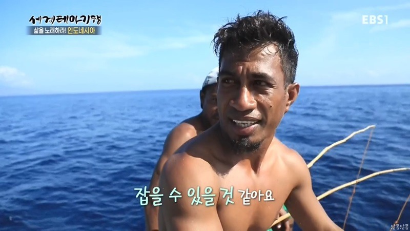 인도네시아 참치잡이 | 인스티즈