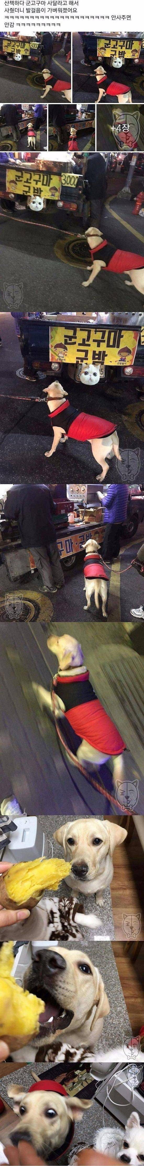 군고구마의 위력.JPG | 인스티즈