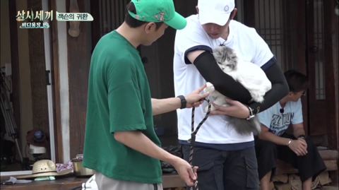 [삼시세끼] 처음 본 잭슨 때문에 놀라서 귱집사 팔 꼬옥 붙드는 고양이 쿵이.gif | 인스티즈