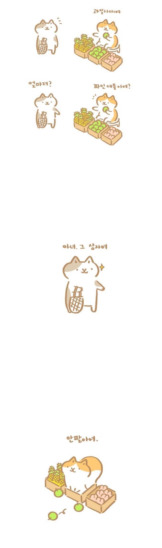 냥이가 과일파는 만화 | 인스티즈