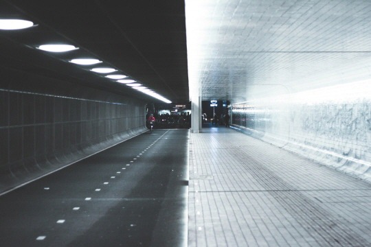 뿌리는 관념이다 | 인스티즈