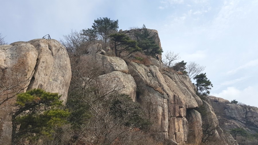 중래향 이미지