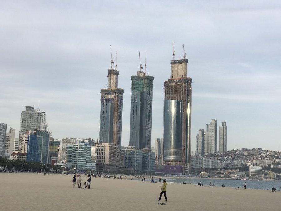 부산 달맞이 고개의 변화.jpg | 인스티즈