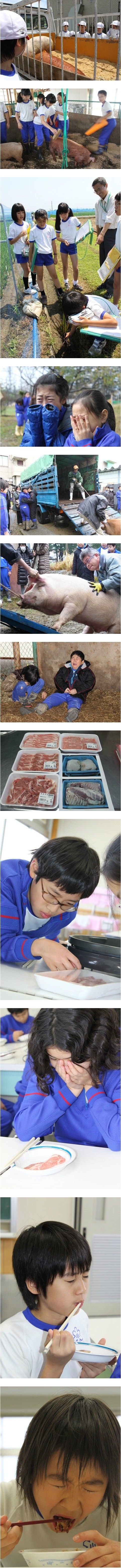 아이들에게 충격적인 현장체험학습 | 인스티즈