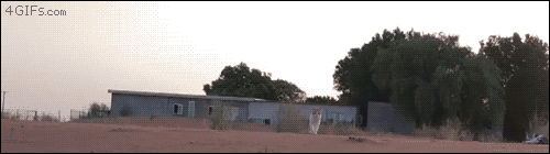 냥통사고.gif | 인스티즈