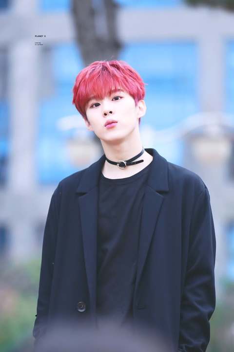 선희 이미지