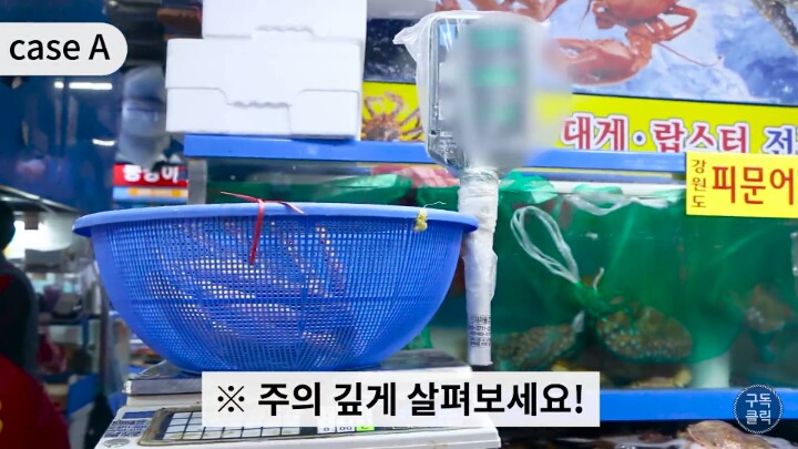 대게나 킹크랩살때 바가지 안당하는 방법!!! | 인스티즈
